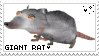 the giant rat that makes all of the rules